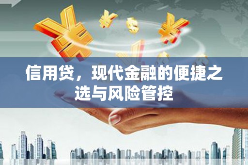 金秀信用贷，现代金融的便捷之选与风险管控