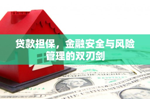 金秀贷款担保，金融安全与风险管理的双刃剑