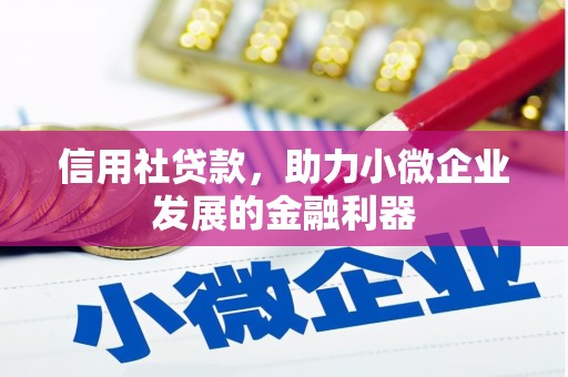 金秀信用社贷款，助力小微企业发展的金融利器