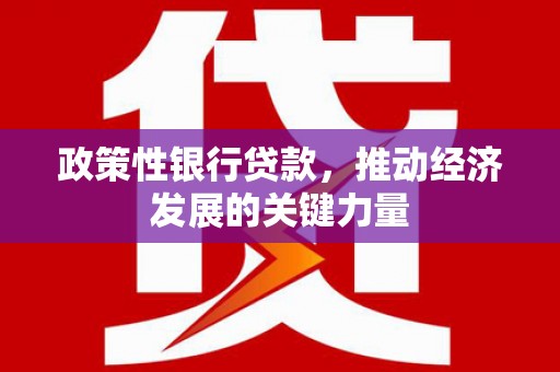 金秀政策性银行贷款，推动经济发展的关键力量