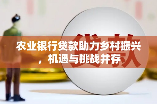 金秀农业银行贷款助力乡村振兴，机遇与挑战并存