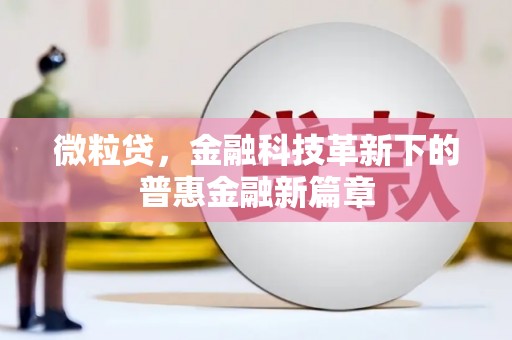 金秀微粒贷，金融科技革新下的普惠金融新篇章