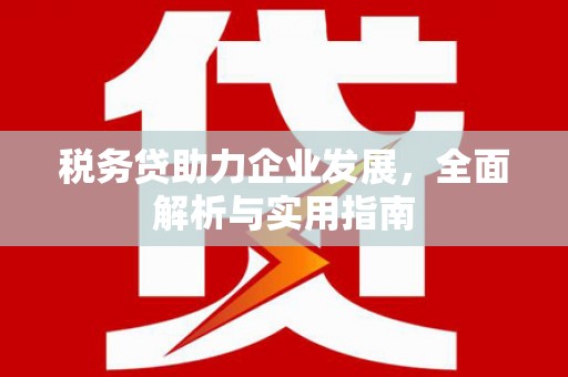 金秀税务贷助力企业发展，全面解析与实用指南