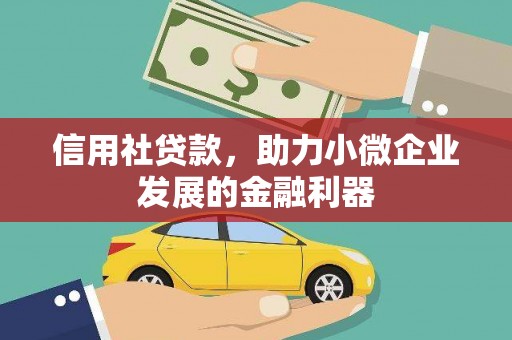 金秀信用社贷款，助力小微企业发展的金融利器