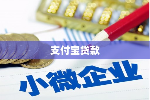 金秀支付宝贷款