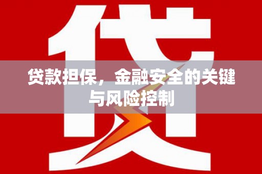 金秀贷款担保，金融安全的关键与风险控制