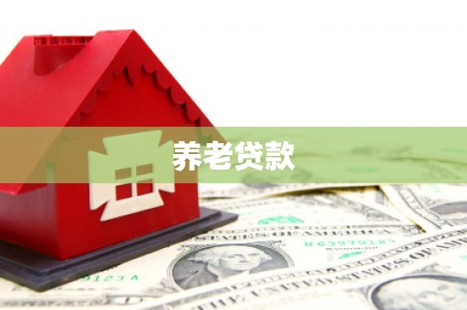 金秀养老贷款