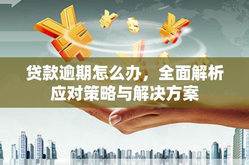 金秀贷款逾期怎么办，全面解析应对策略与解决方案